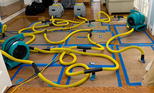 Professional Water Extraction technician working in Fredonia, WI